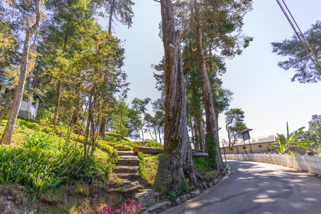 Mirage Kings Cottage Nuwara Eliya Exteriör bild