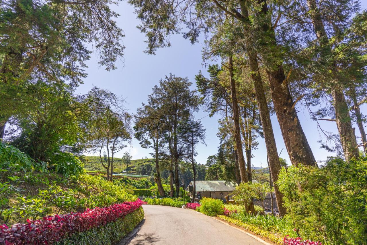 Mirage Kings Cottage Nuwara Eliya Exteriör bild