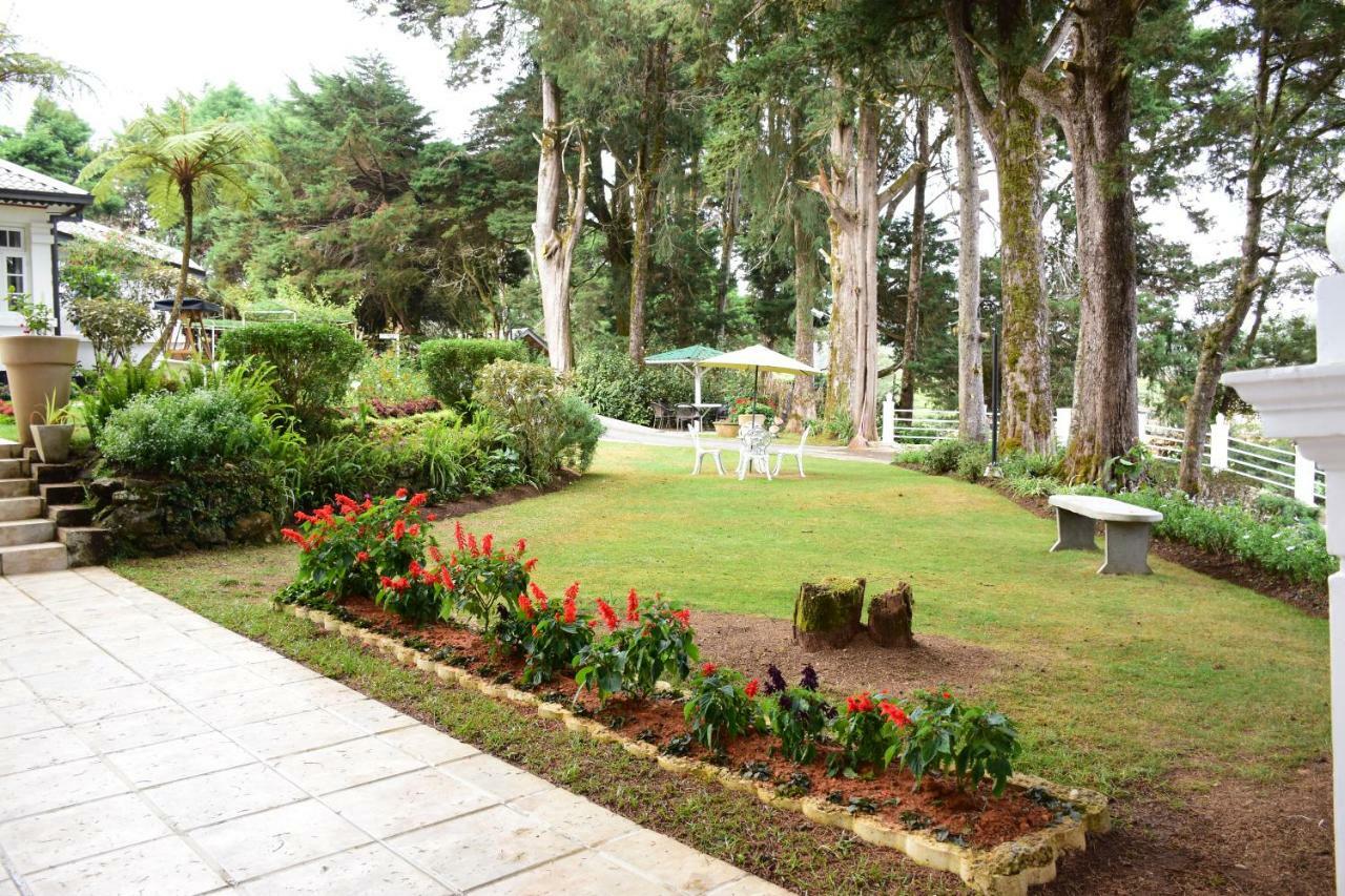 Mirage Kings Cottage Nuwara Eliya Exteriör bild